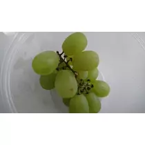 らん