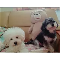 美波 なつ