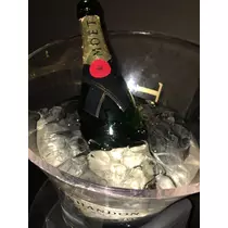 白石 愛莉