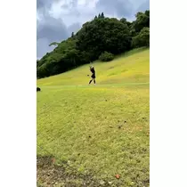 りんか