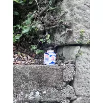 かずは