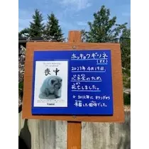桐島 りゅう