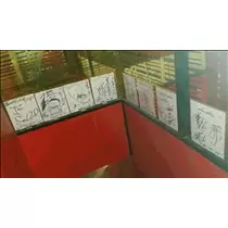 桃瀬 百華