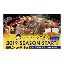 七星 夏純