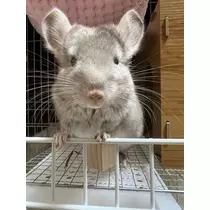 なっちゃん