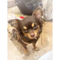 のん