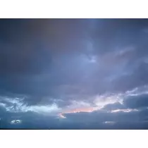 ゆかり