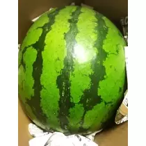 りえ