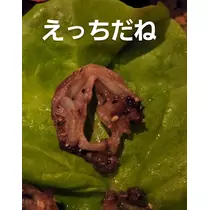 紫音