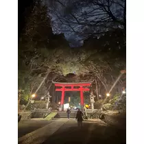 ちょこ