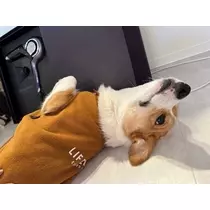 足立 はな