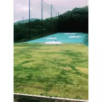 りな