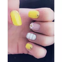愛矢