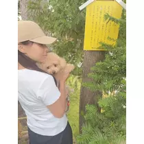 夏目 梨仔