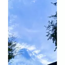 さや