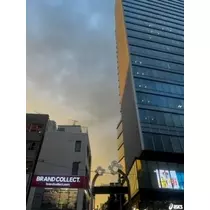 みれい
