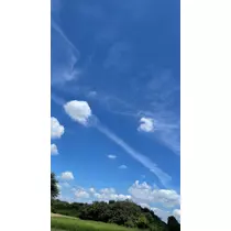 みむ