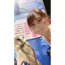 しおり