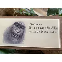 あいゆ