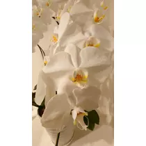 のはら かすみ