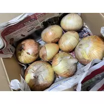 ちひろ