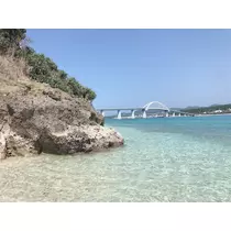 紗貴