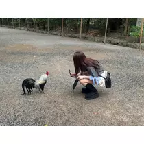 アイ