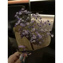 白石 愛莉