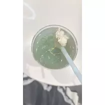 ぽめ・らにあん