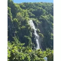 成海 まお
