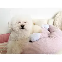 夏樹 あや