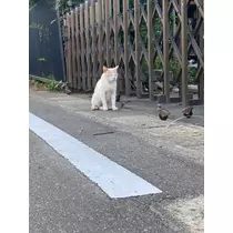 みづき