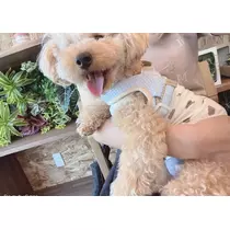 もえ