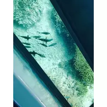 ゆかり