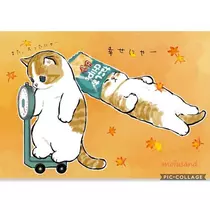 さや