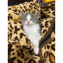 ユズ