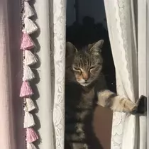 一咲 エム