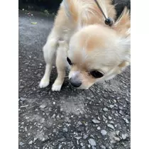 みらい