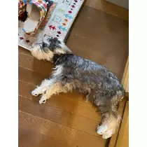 天月 あすな