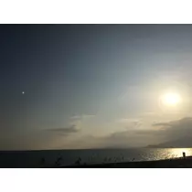 あり