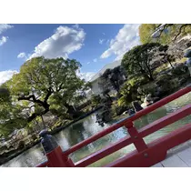 れみ