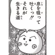 司