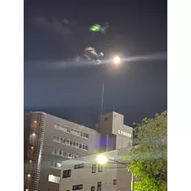 神崎 蘭