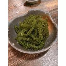 宝條 夏恋