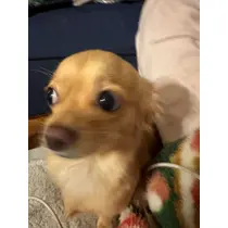 るな