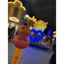 らん