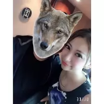 ゆかり
