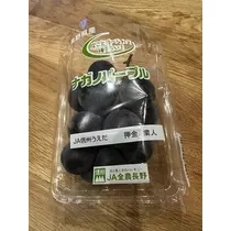 白石 愛莉