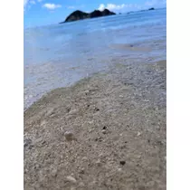 みさ