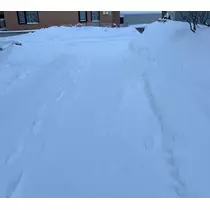 香川 ゆい